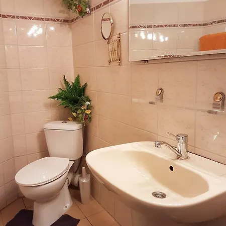 Central Dondukov Apartment